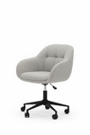 Canterbury Cinzento Claro Fundo Branco