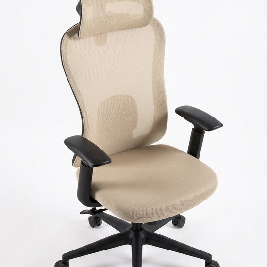 Pardue bege, frontal elevada