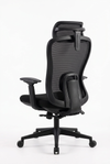 Pardue preto, traseira a três quartos esquerda